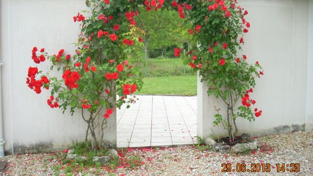 A garden with a white wall and a tiled roof.