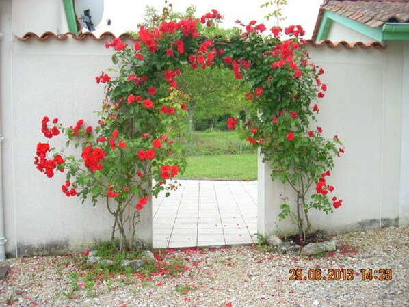 Property grounds - House with Terrace and Garden in St Méard de Drône, Pets Allowed (Saint-Méard-de-Drône)