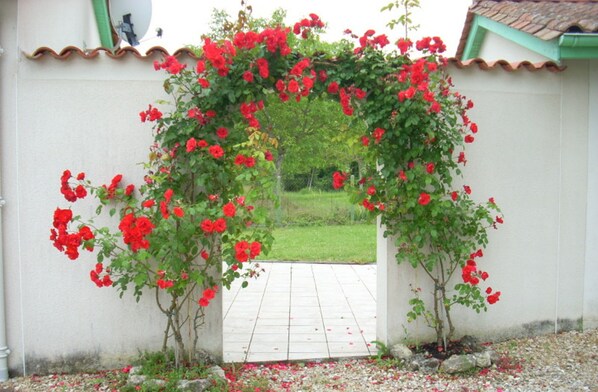 Un jardín con un muro blanco y un tejado de tejas.