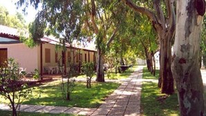 Un sendero bordeado de árboles y un edificio con tejado de baldosas.