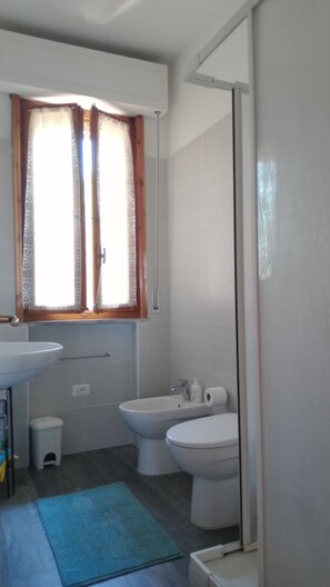 Shower, hair dryer, bidet, towels