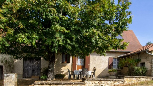 A rustic stone house with a tiled roof, a large tree in front, and outdoor seating.
