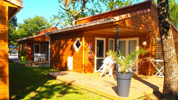 Una cabaña de madera con porche, una planta en maceta y mobiliario exterior.