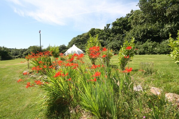 Una tienda de campaña en un campo cubierto de hierba, con flores rojas y árboles al fondo.