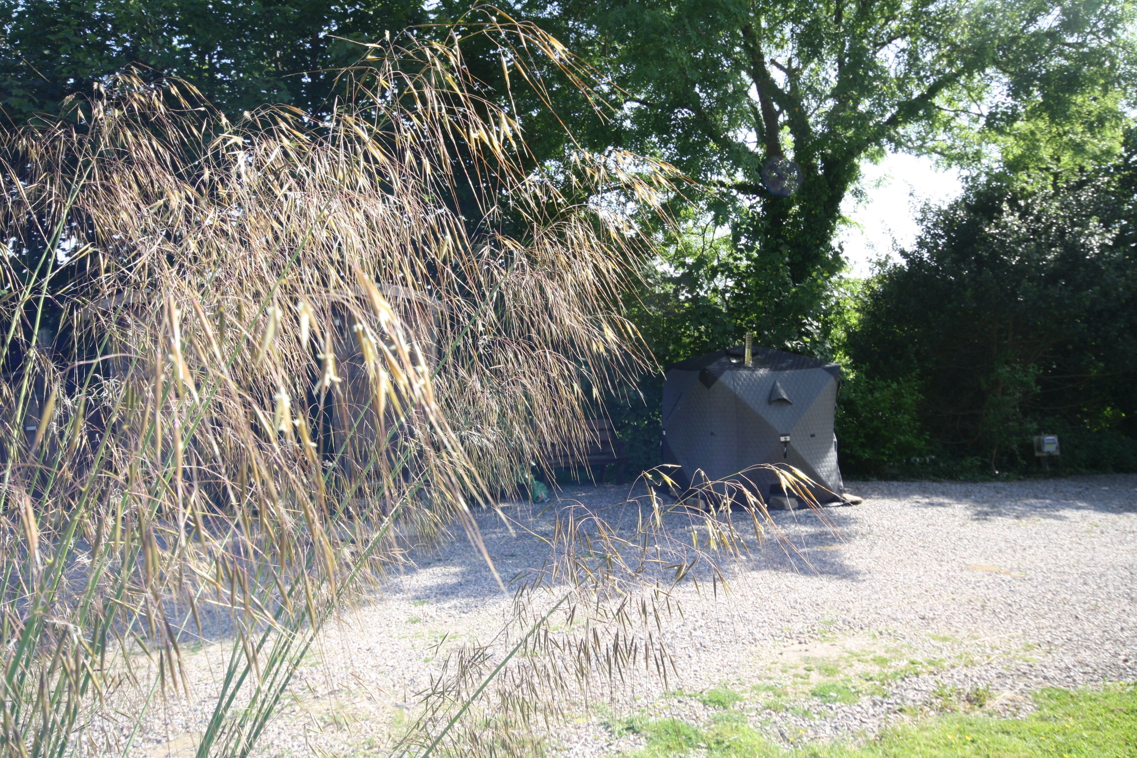 A gravel area with tall grasses and a small structure, possibly a shed, in a park-like setting.