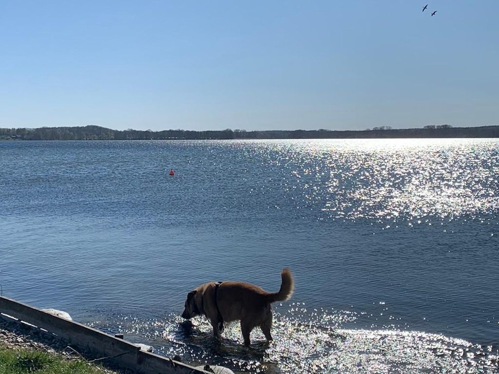 Ferienwohnungen Labud 25