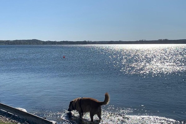 Ferienwohnungen Labud 25