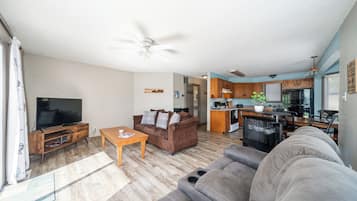 Smart-tv, dvd-afspiller, videobibliotek