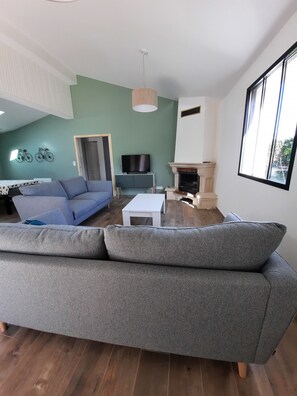 Televisión, chimenea y reproductor de DVD 