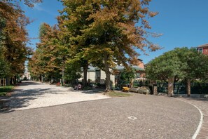 A cobblestone pathway in a park with trees and a building in the background.