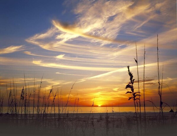 A sunset over a beach with tall grasses in the foreground. - Waterfront 1BR condo on Marco Island with pool, WiFi, kitchen and marina access. (Marco Island)