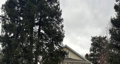 Rio Grande "Dean Lewis" House. Just off campus!