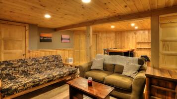 TV, fireplace, books