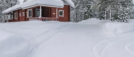 Eksteriør