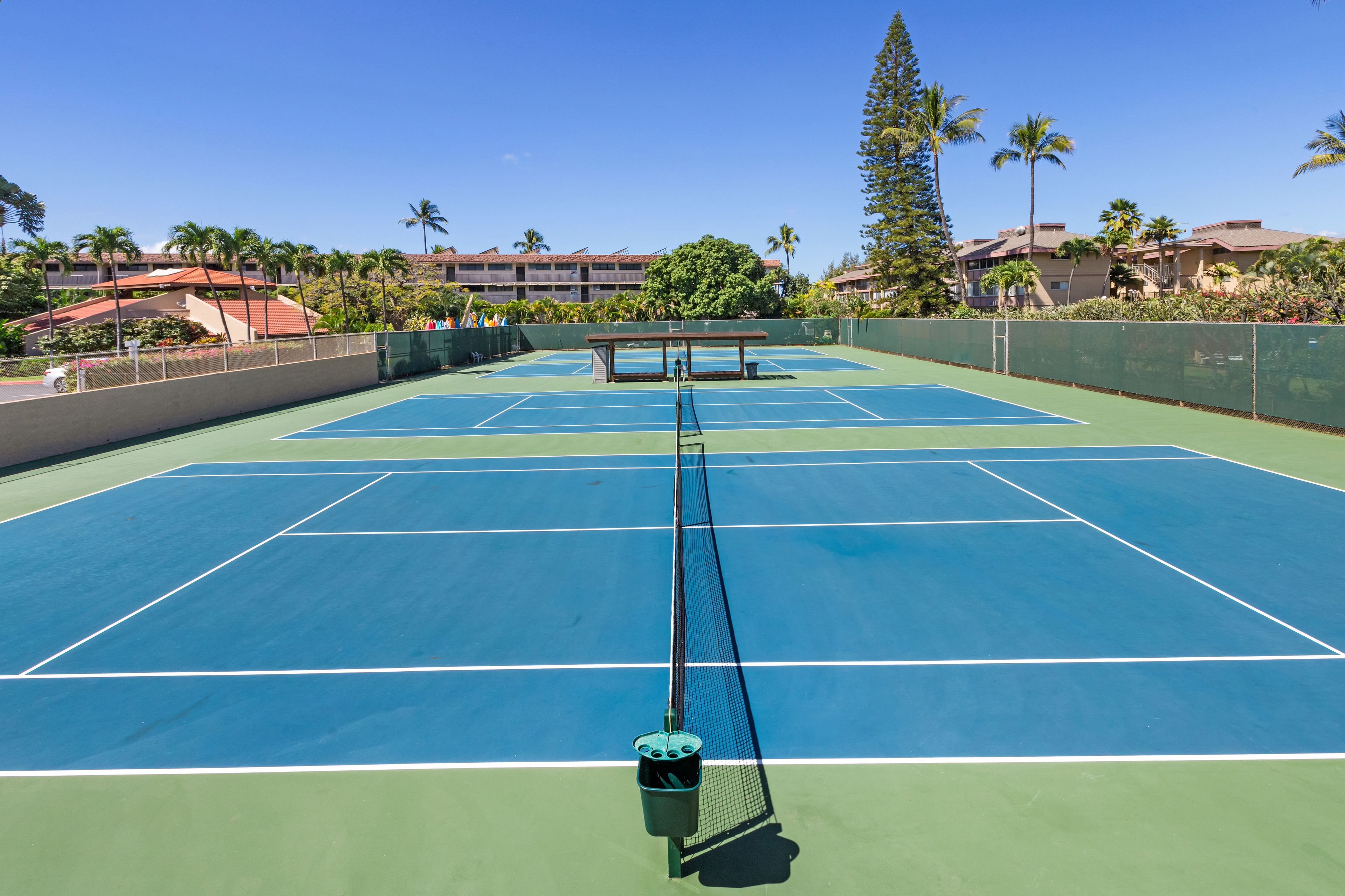 Una cancha de tenis con una red en el centro, rodeada por una valla y palmeras.