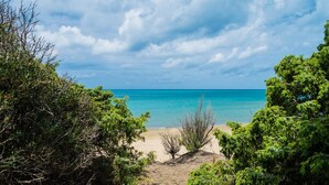 A beach with clear turquoise water, surrounded by dense green foliage. - Dormire in Barca ma Sulla Terra Ferma (Campiglia Marittima)