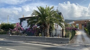 A residential street with a house featuring a balcony, a palm tree, and purple flowering plants. - Dormire in Barca ma Sulla Terra Ferma (Campiglia Marittima)