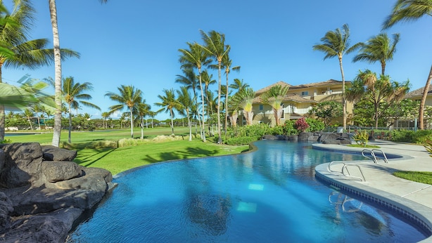 Ein Pool mit geschwungenem Design, umgeben von Palmen und einem gepflegten Rasen.