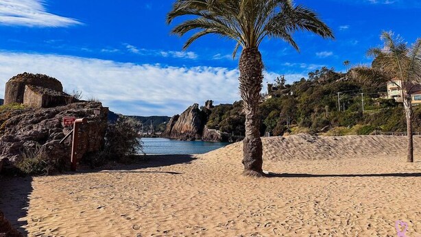 A sandy beach with a palm tree, rocky outcrops, and a clear blue sky. - Apartment with large terrace and garden 300M from the beach (Mandelieu-la-Napoule)