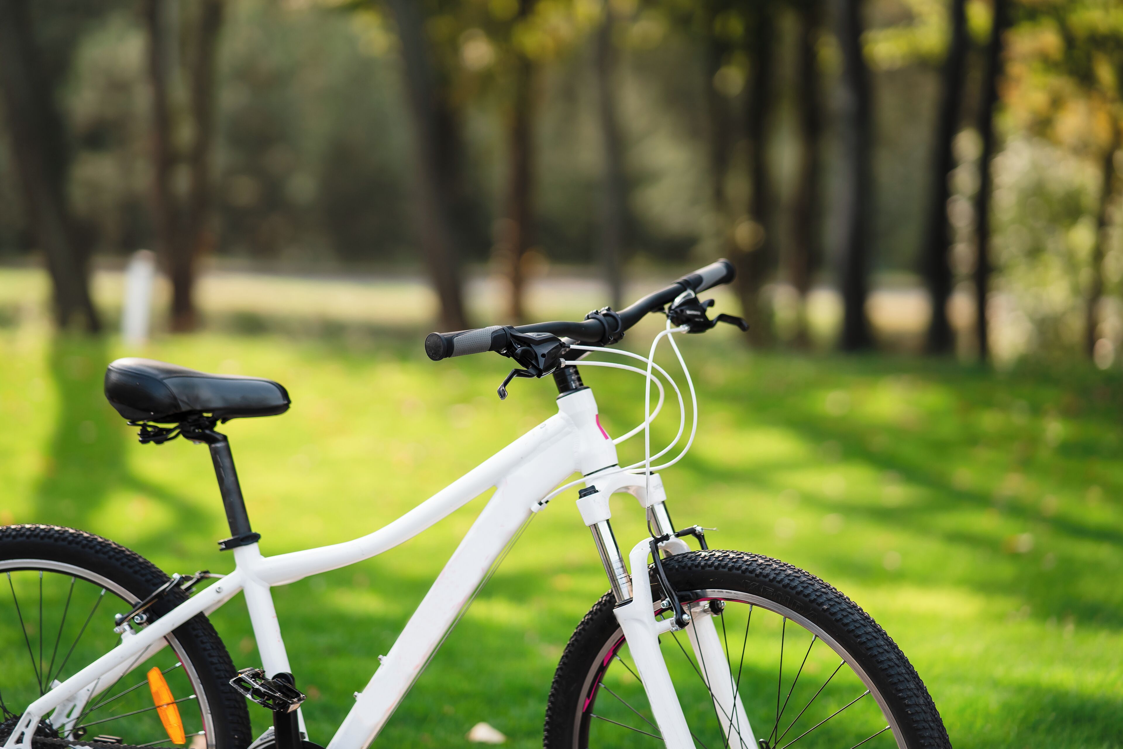 A white bicycle with a black seat and handlebars, parked on a grassy area with trees in the background.