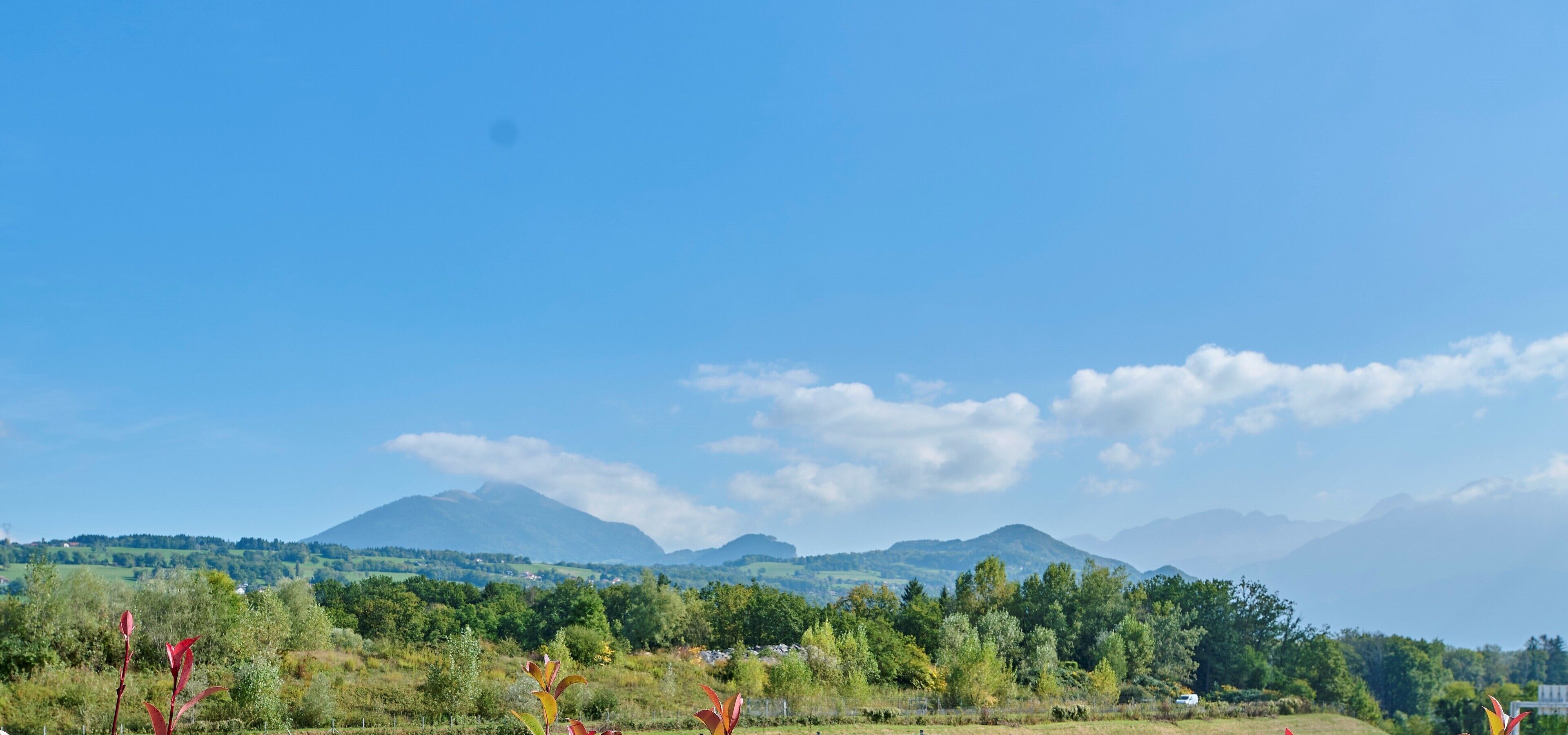 Paesaggio con catena montuosa sullo sfondo, cielo sereno e un campo alberato in primo piano.