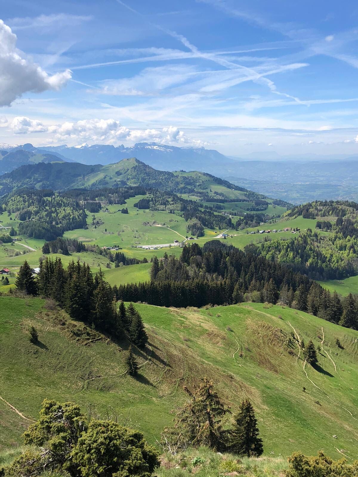 A panoramic view of a mountainous landscape with green valleys, scattered trees, and distant mountains under a clear sky.