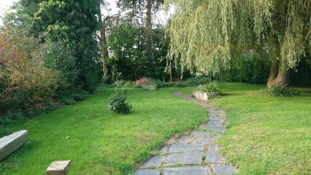 Un sendero de piedra que atraviesa un jardín cuidado, con un sauce llorón y diversos arbustos.