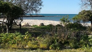 Una spiaggia con un litorale roccioso, alberi e cielo sereno.