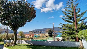 Zona residencial com uma grande árvore, um pinheiro, e vista para colinas distantes e um corpo d'água.