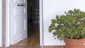 Uma porta que dá para um quarto com uma planta em vaso e um aplique na parede.