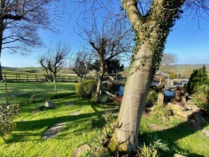 المنطقة المحيطة بالمنشأة