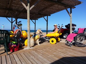 A wooden deck with a covered area, a wheelchair, and a dog with a yellow harness.