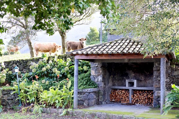 Áreas de la propiedad