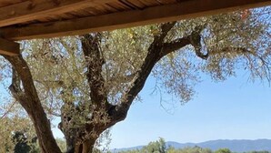 Ein überdachter Außenbereich mit Tisch und Stühlen, einem Blumentopf und Blick auf ein Feld und Berge im Hintergrund.