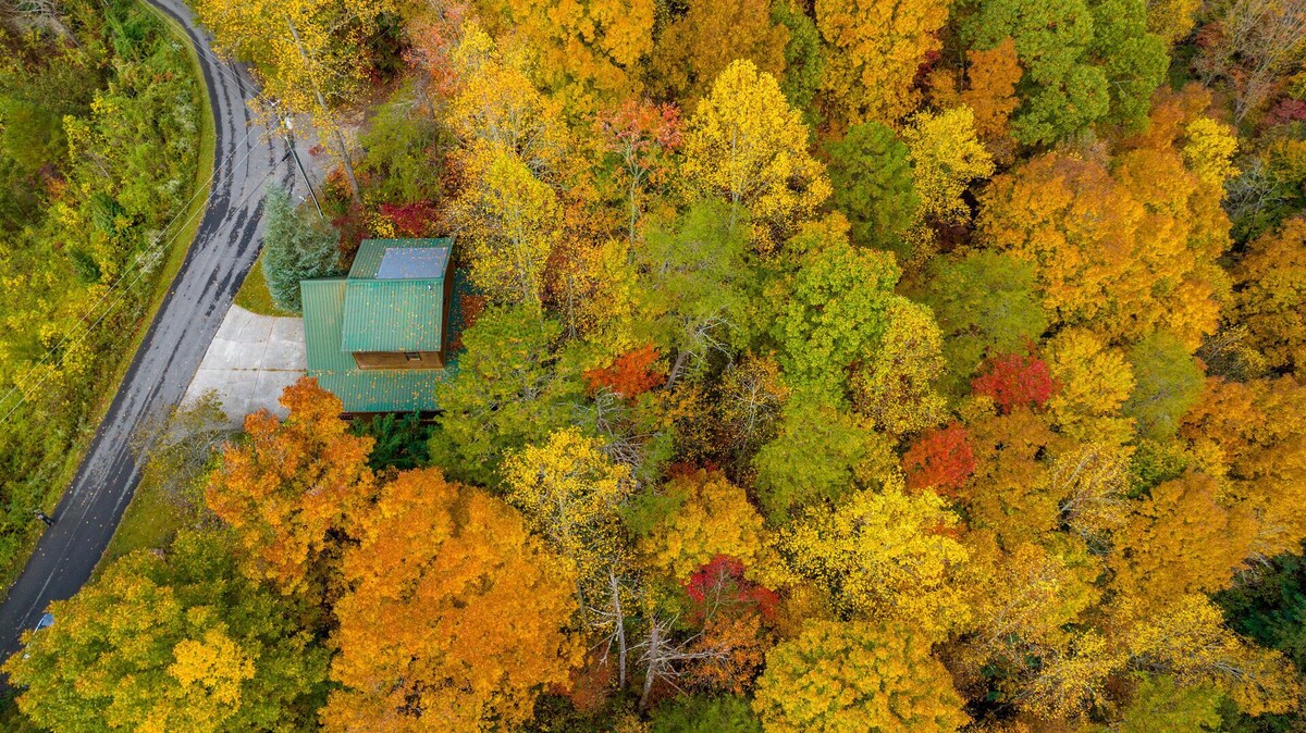 Amazing Mountain View Cabin with Jacuzzis, Hot Tub & StarlinkWIFI! Pets Welcome!