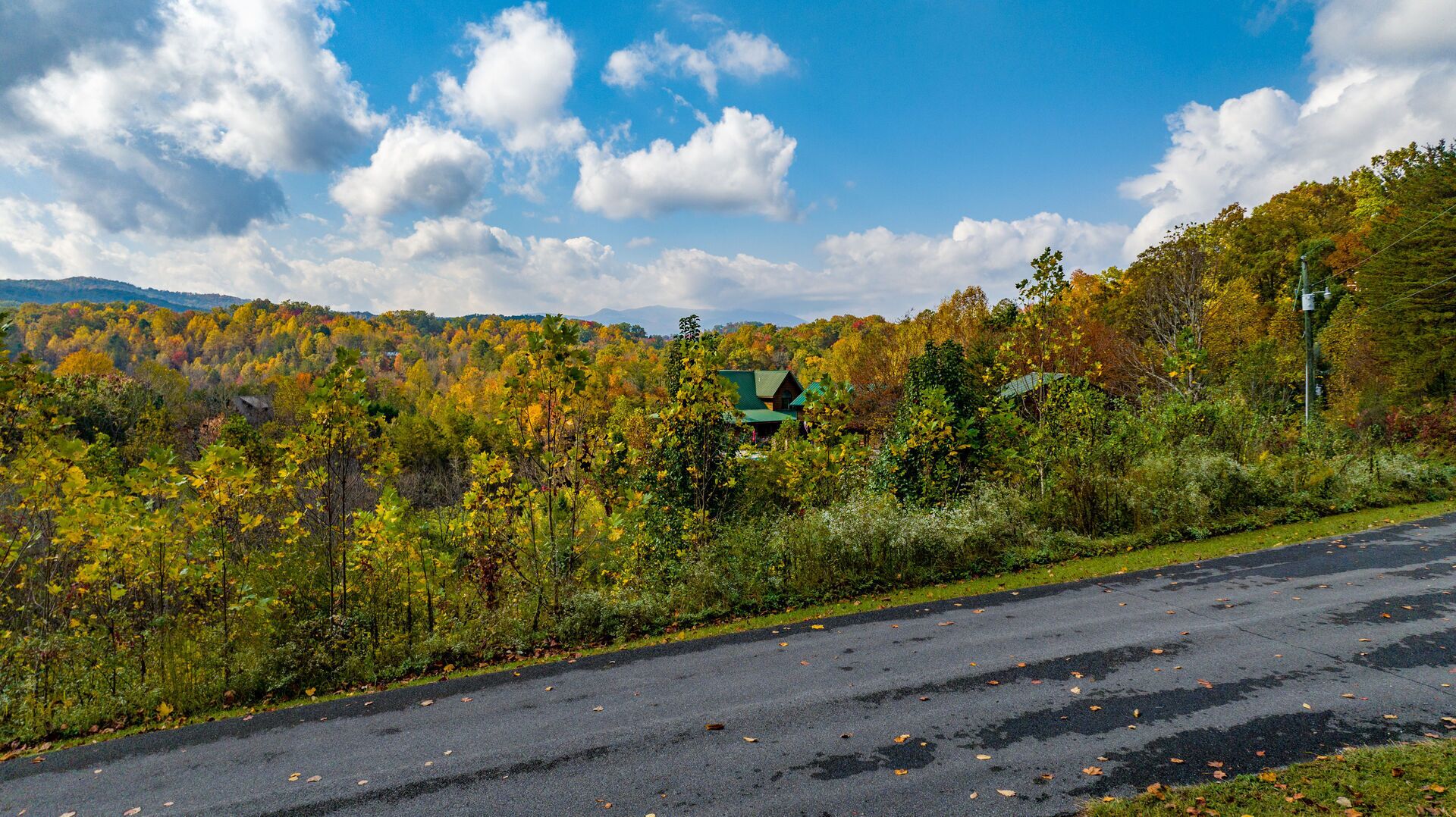 A road with a green house surrounded by autumn foliage.