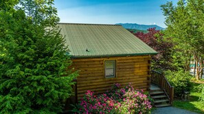Exterior - Honeymoon Suite with Amazing Views, Jacuzzi, Hot Tub & Starlink WIFI (Sevierville)