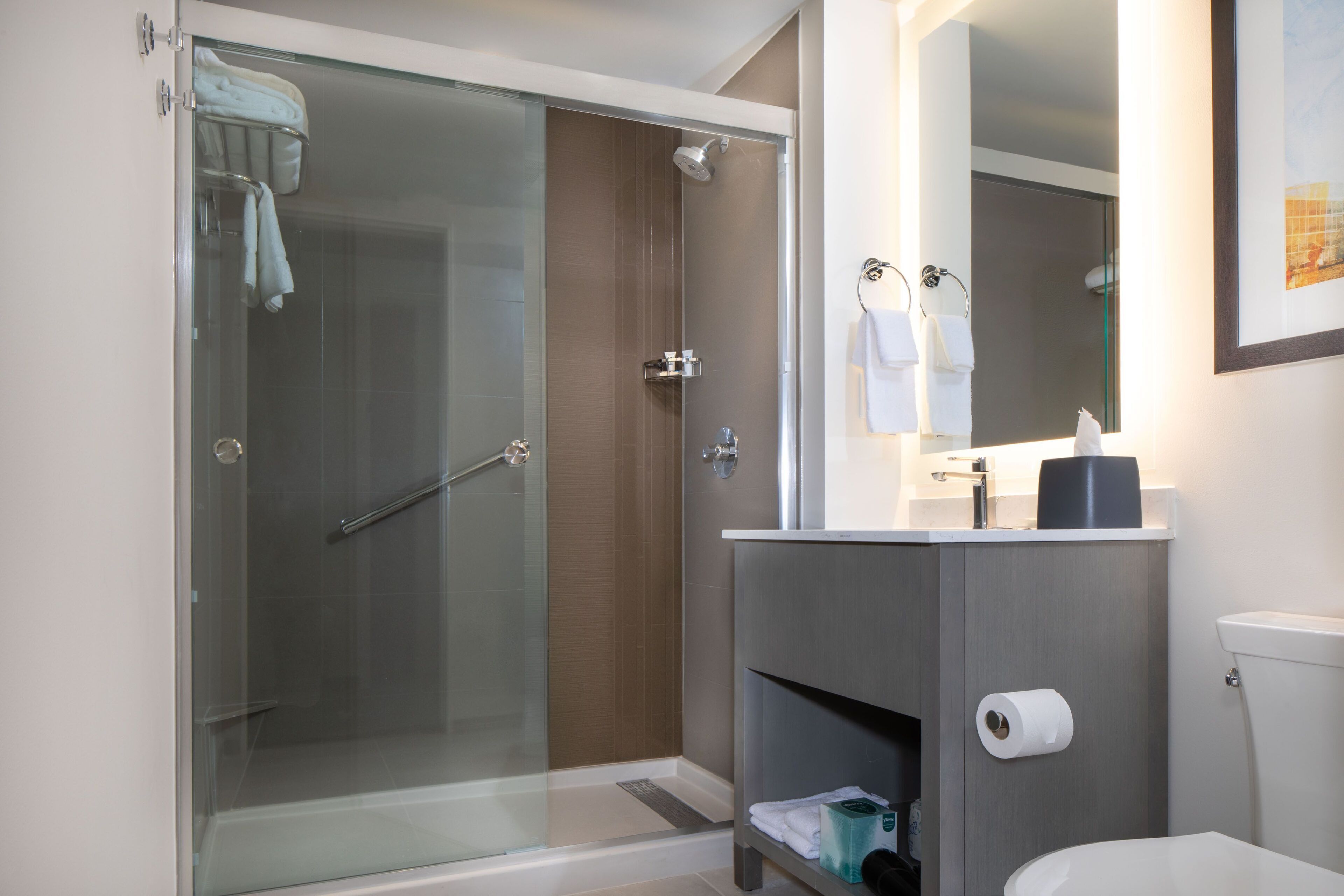 A modern bathroom with a glass-enclosed shower, a toilet, and a vanity with a mirror.