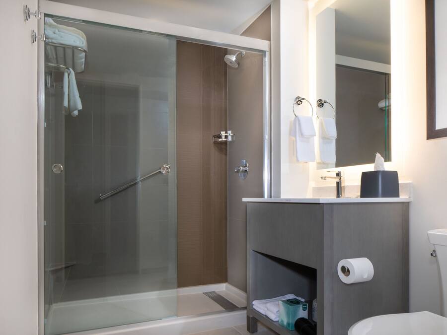 A modern bathroom with a glass-enclosed shower, a toilet, and a vanity with a mirror.