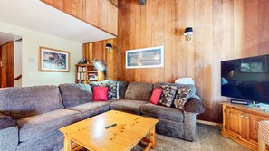 Fernseher, Kamin, DVD-Player