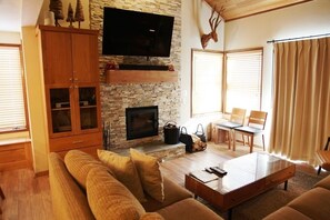 TV, fireplace, DVD player