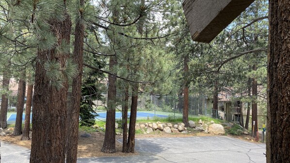 Escape to a serene oasis with a pool and lush pine trees.