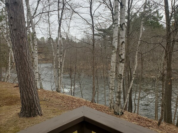 A wooden bench overlooking a lake surrounded by birch trees.