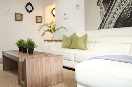 TV. Modern Parisian Flat