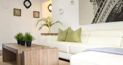 Modern Parisian Flat