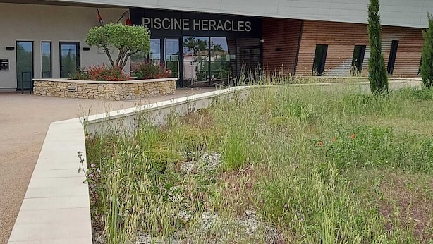 A modern building with a sign reading "PISCINE HERACLLES." - Villa en Location Près des Plages (Saint-Brès)