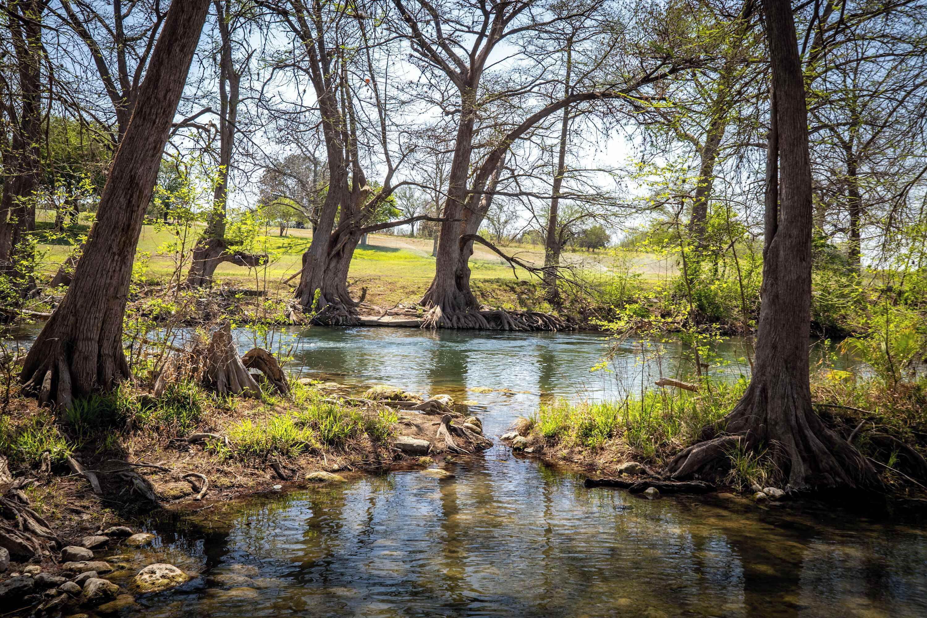 Un paysage naturel comprenant un ruisseau, des arbres et des zones herbeuses.