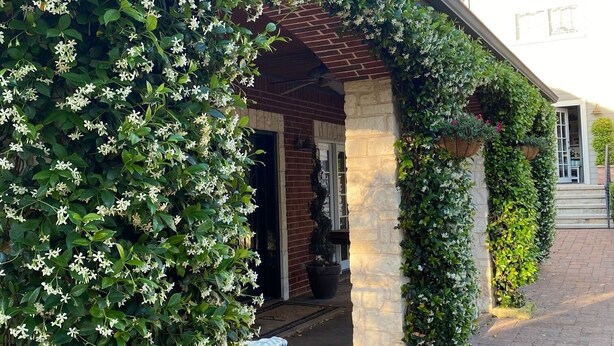 A building with multiple balconies, each with lush green plants and flowers. - House in Westlake (Austin)