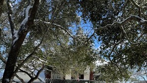 A snow-covered street with buildings, trees, and a clear sky. - House in Westlake (Austin)
