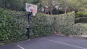 A basketball court with a hoop, surrounded by a hedge. - House in Westlake (Austin)